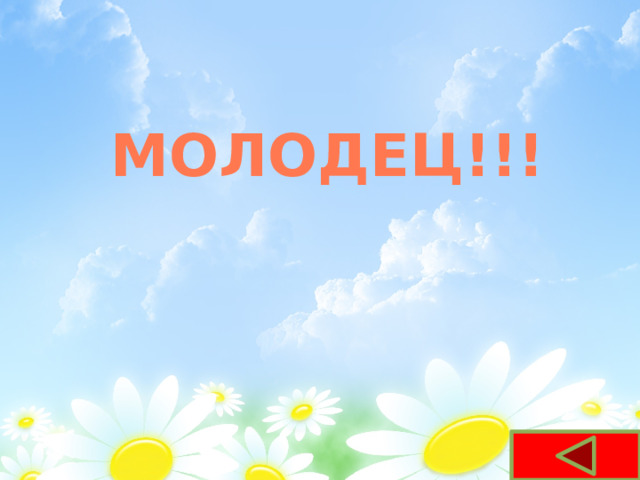Вставка рисунка Молодец!!! 