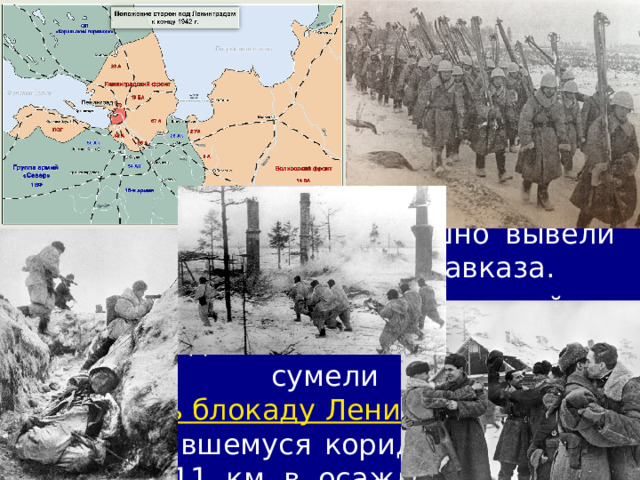 4/11/23 2. Начало освобождения Победа под Сталинградом стала началом массового изгнания противника с советской земли. Опасаясь окружения всей южной группировки, немцы спешно вывели свои войска с Северного Кавказа. 18 января 1943 г. войска Ленинградского и Волховского фронтов сумели частично прорвать блокаду Ленинграда . По образовавшемуся коридору шириной всего 8-11 км в осаждённый город стали поступать продовольствие и медикаменты.  