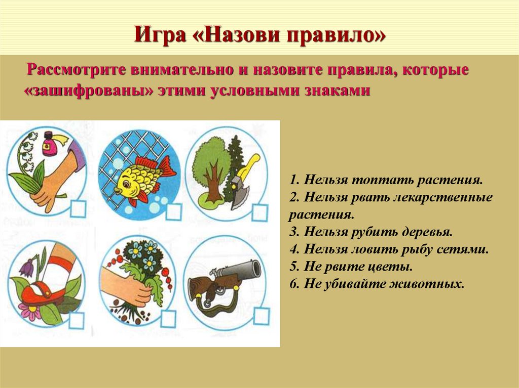 Экология 3 4 классы. Экологические задания. Экология задания. Экология для дошкольников. Практические задачи экологии.