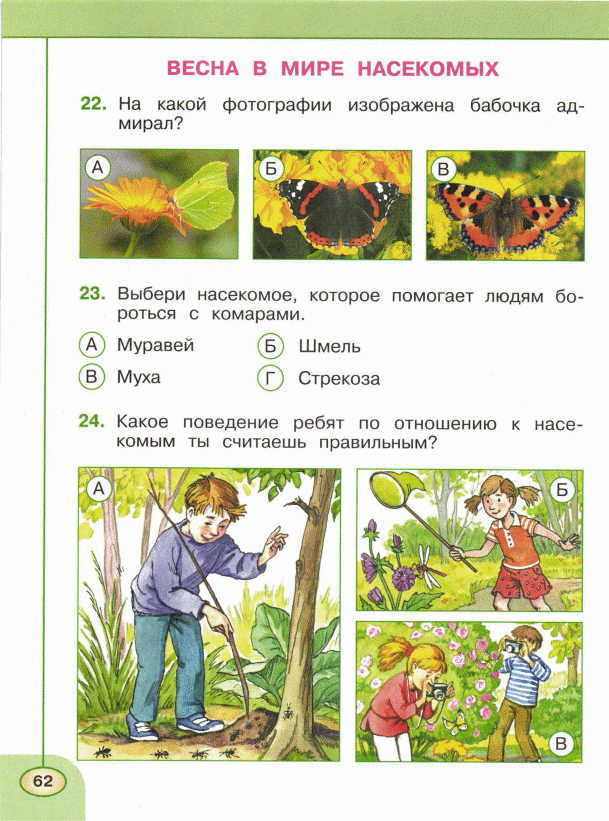 Весна в мире насекомых 2 класс презентация