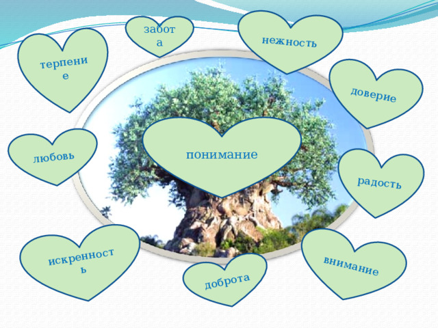 искренность доброта внимание любовь терпение нежность доверие радость забота понимание 