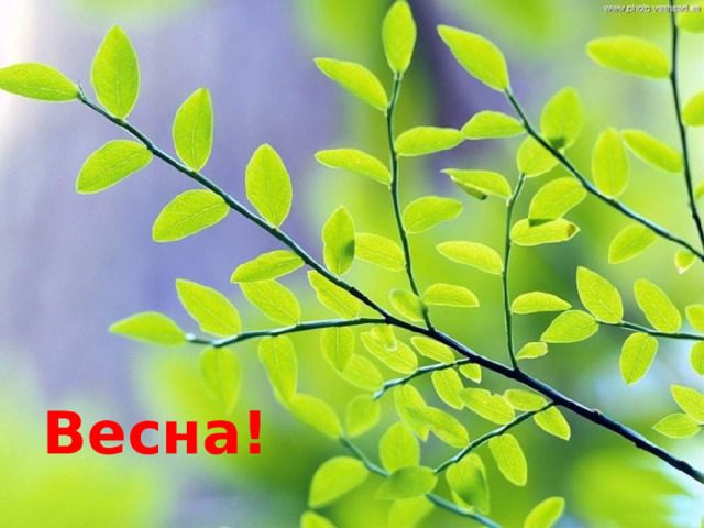 Весна! 