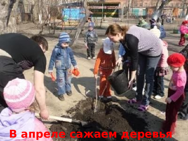  В апреле сажаем деревья 