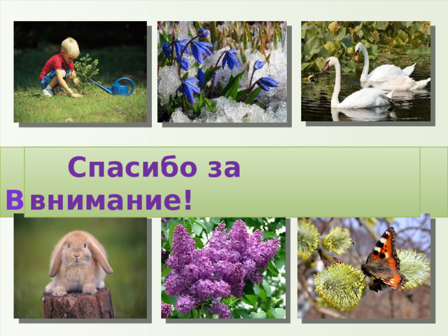  Все рады приходу весны!  Спасибо за внимание! 