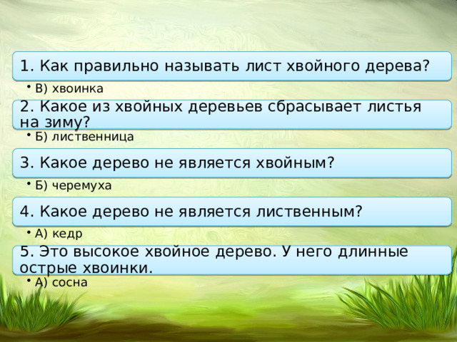 Какое изображение называют действительным какое изображение называют мнимым