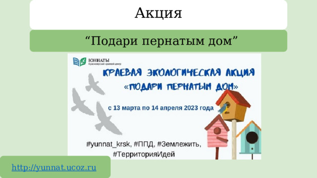 Акция “ Подари пернатым дом” http://yunnat.ucoz.ru  