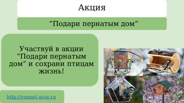 Акция “ Подари пернатым дом” Участвуй в акции “Подари пернатым дом” и сохрани птицам жизнь! http://yunnat.ucoz.ru  