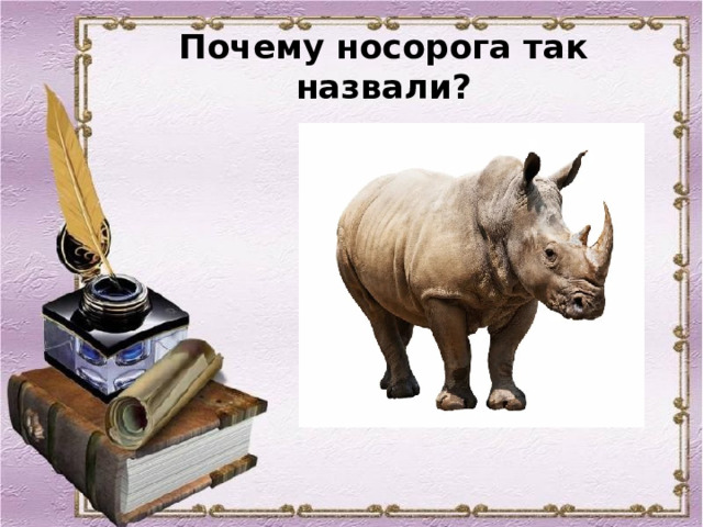 Почему носорога так назвали? 