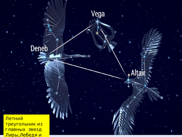 Летний треугольник из главных звезд Лиры,Лебедя и Орла 