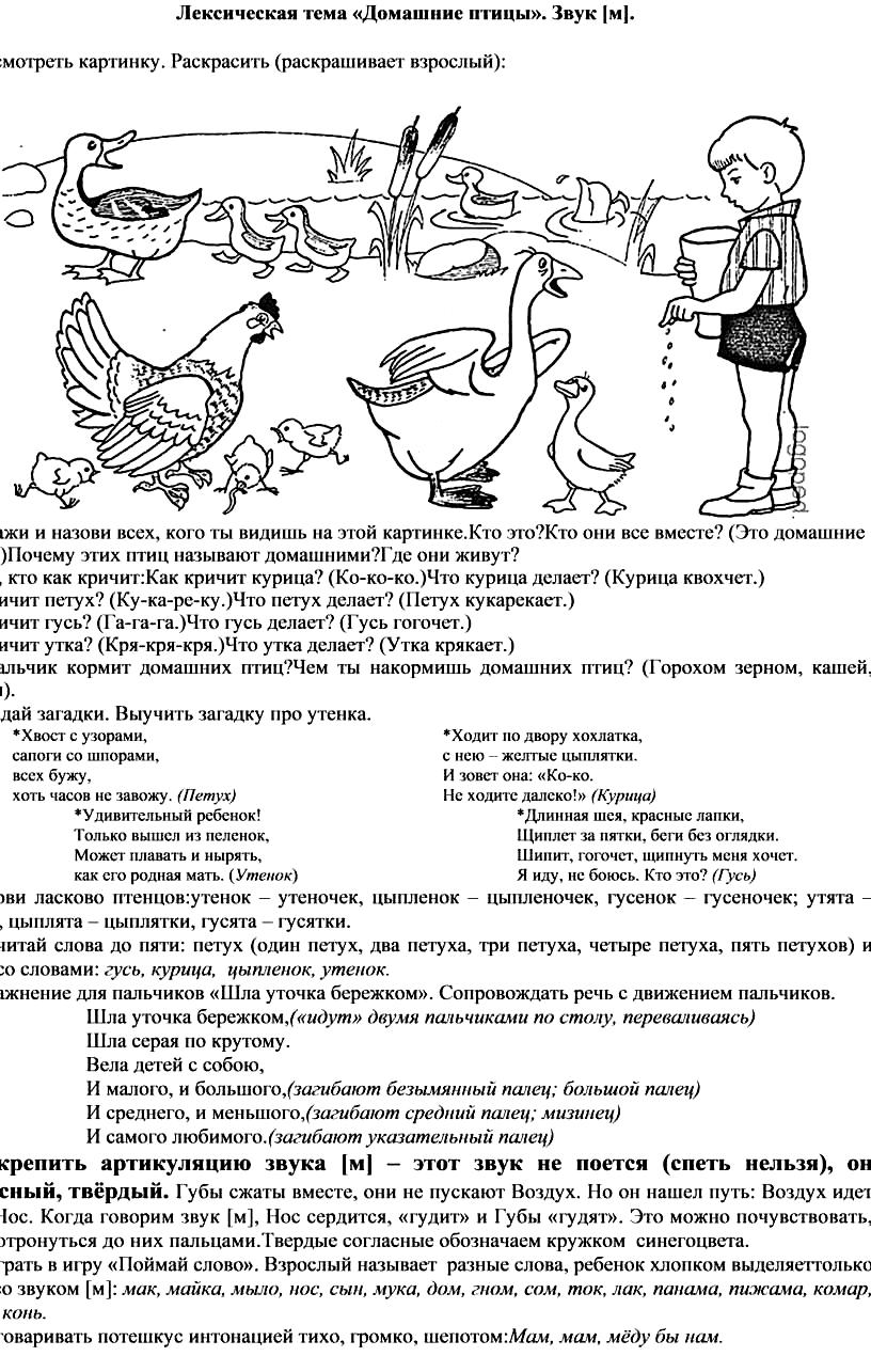 Лексическая тема 