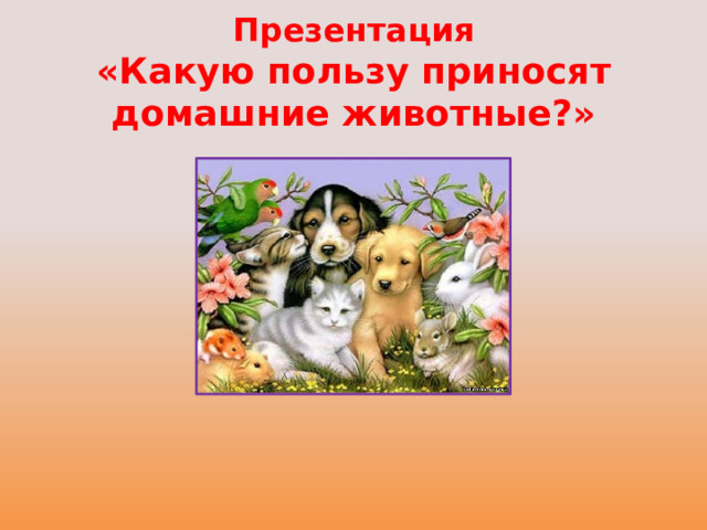 Какую пользу приносят домашние животные 3 примера Презентация к тематической неделе в детском саду "Домашние животные"