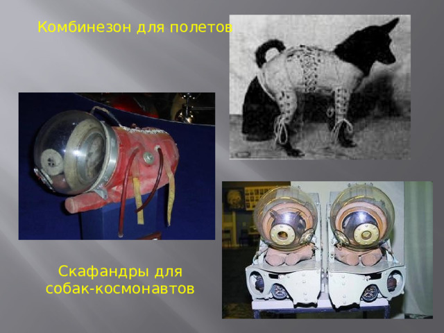 Комбинезон для полетов Скафандры для собак-космонавтов 