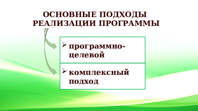 ОСНОВНЫЕ ПОДХОДЫ РЕАЛИЗАЦИИ ПРОГРАММЫ  программно-целевой   комплексный подход  