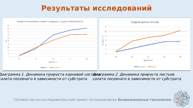 Результаты исследований Диаграмма 1. Динамика прироста корневой системы Диаграмма 2. Динамика прироста листьев салата посевного в зависимости от субстрата салата посевного в зависимости от субстрата Сетевой научно-исследовательский проект по направлению Биоинженерные технологии  