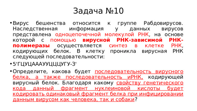 Задача №10 Вирус бешенства относится к группе Рабдовирусов. Наследственная информация у данных вирусов представлена одноцепочечной молекулой РНК , на основе которой с помощью вирусной РНК-зависимой РНК-полимеразы  осуществляется синтез в клетке РНК , кодирующих белок. В клетку проникла вирусная РНК следующей последовательности: 5'ГЦУЦАААУУЦЦЦУГУ-З' Определите, какова будет последовательность вирусного белка, а также последовательность иРНК, кодирующей вирусный белок. Благодаря какому свойству генетического кода данный фрагмент нуклеиновой кислоты будет кодировать одинаковый фрагмент белка при инфицировании данным вирусом как человека, так и собаки ? 