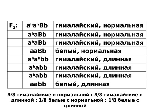 F 2 : a h a h Bb гималайский, нормальная a h aBb гималайский, нормальная a h aBb гималайский, нормальная aaBb a h a h bb белый, нормальная гималайский, длинная a h abb гималайский, длинная a h abb гималайский, длинная aabb белый, длинная 3/8 гималайские с нормальной : 3/8 гималайские с длинной : 1/8 белые с нормальной : 1/8 белые с длинной  