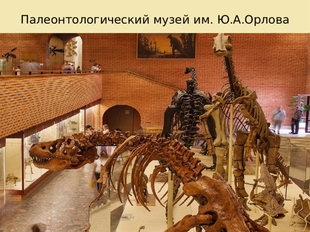 Палеонтологический музей им. Ю.А.Орлова   