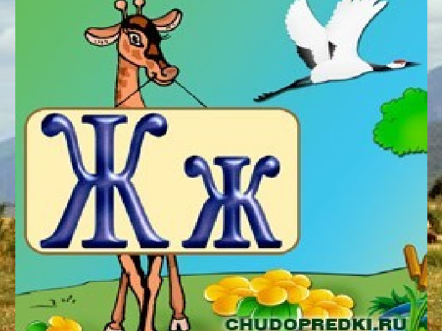 Ноги, как ходули. Шея, как свеча. Скорость, как у пули. Ростом – каланча. 