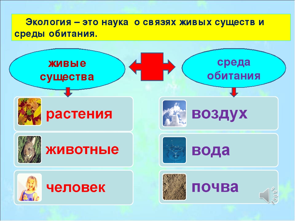 Презентация что такое экология 1 класс школа россии