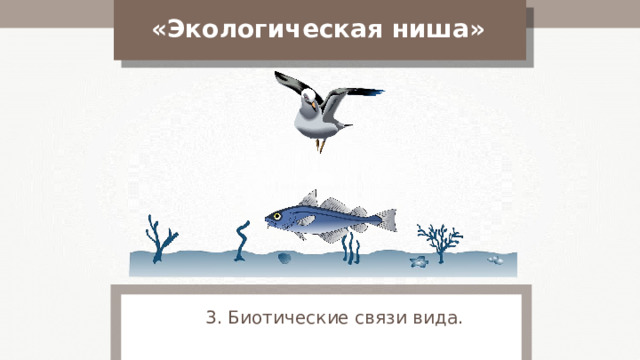 «Экологическая ниша» 3. Биотические связи вида. 