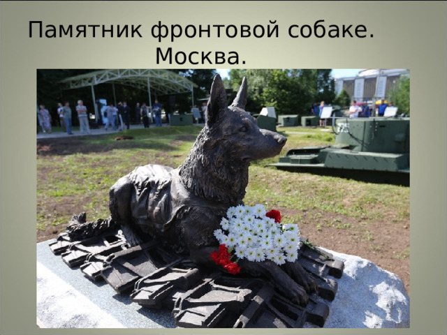 Памятник фронтовой собаке. Москва. 