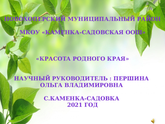   Новохоперский муниципальный район  МКОУ «Каменка-Садовская оош»    «Красота РОДНОГО края»   Научный руководитель : Першина Ольга Владимировна  С.Каменка-Садовка 2021 год  