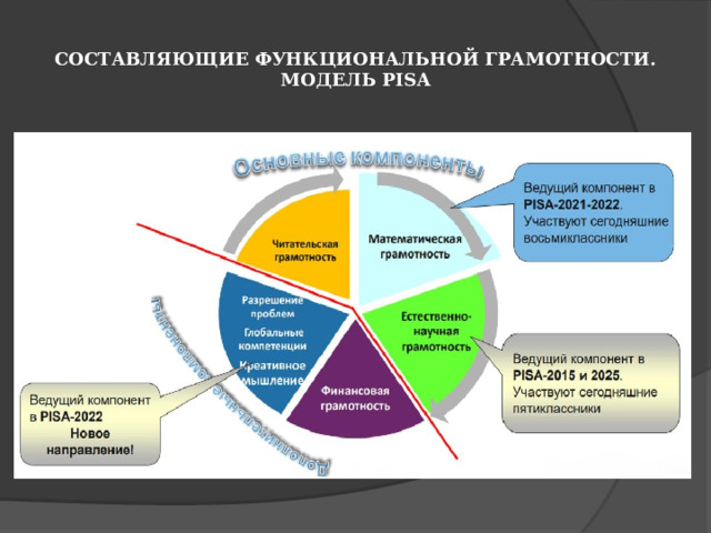 СОСТАВЛЯЮЩИЕ ФУНКЦИОНАЛЬНОЙ ГРАМОТНОСТИ.  МОДЕЛЬ PISA 