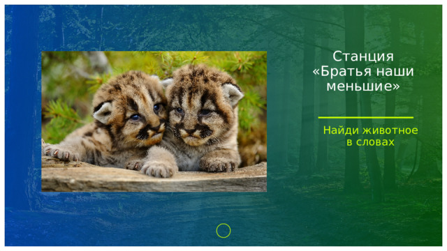 Станция «Братья наши меньшие» Найди животное в словах 1 