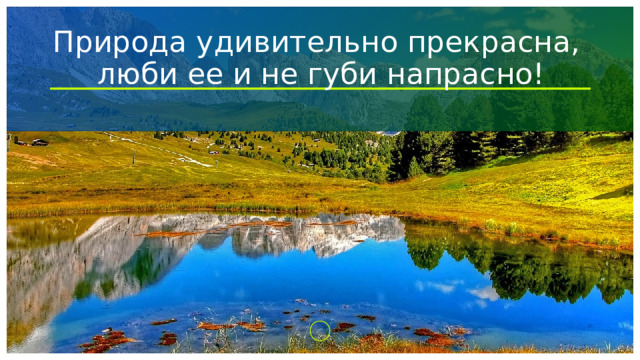 Природа удивительно прекрасна,  люби ее и не губи напрасно!  