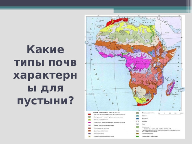 Какие типы почв характерны для пустыни? 