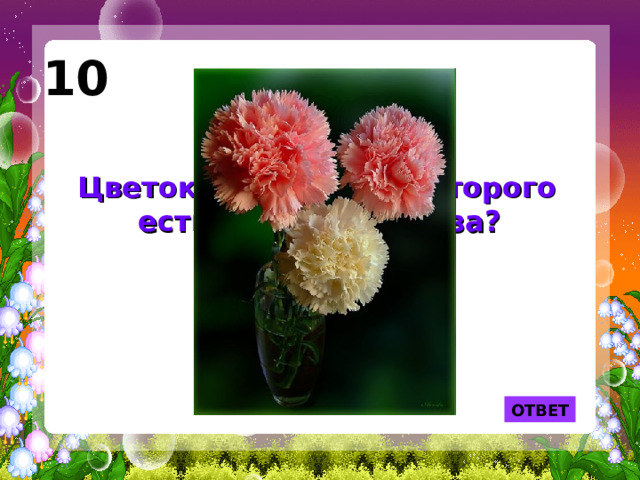 10 Цветок, в названии которого есть кусочек железа?  ОТВЕТ 