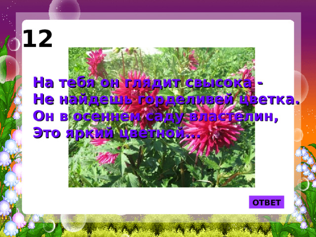 12 На тебя он глядит свысока -  Не найдешь горделивей цветка.  Он в осеннем саду властелин,  Это яркий цветной... ОТВЕТ 