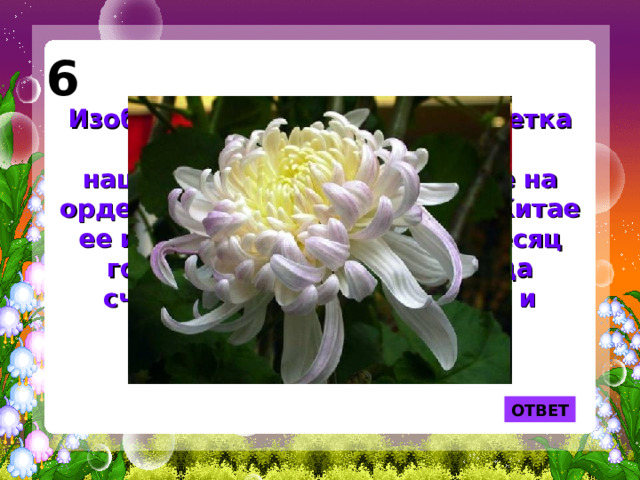 6 Изображение именно этого цветка помещено на японском национальном гербе, а также на орденах и монетах Японии. В Китае ее именем назван девятый месяц года, ну а в Европе ее всегда считали символом глубокой и безмолвной печали.  ОТВЕТ 