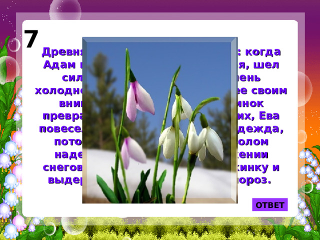 7 Древняя легенда рассказывает: когда Адам и Ева были изгнаны из рая, шел сильный снег, и Еве было очень холодно. Тогда, желая согреть ее своим вниманием, несколько снежинок превратилось в цветы. Увидев их, Ева повеселела, у нее появилась надежда, потому этот цветок стал символом надежды. Расцветая в окружении снегов, он и сам похож на снежинку и выдерживает 10- градусный мороз. ОТВЕТ 
