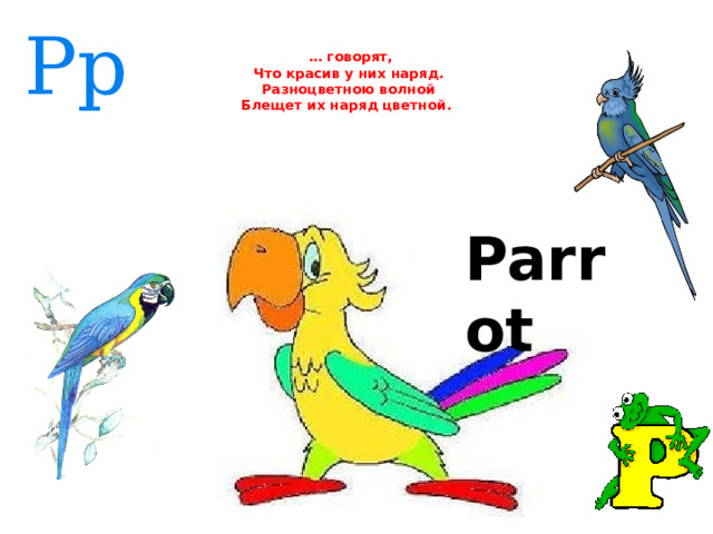 Pp   … говорят,  Что красив у них наряд.  Разноцветною волной  Блещет их наряд цветной. Parrot  