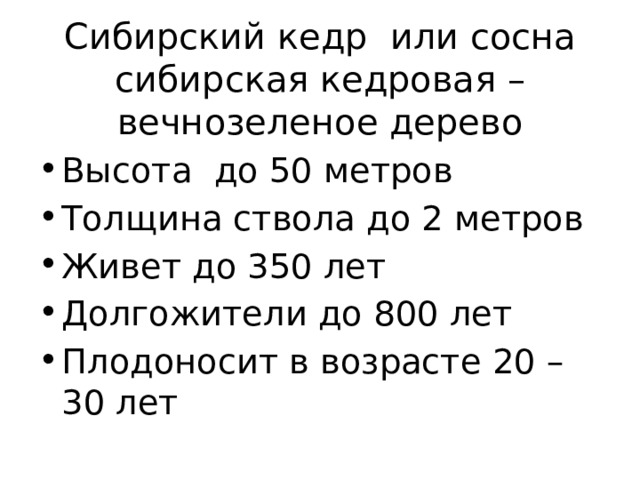 Сибирский кедр или сосна сибирская кедровая – вечнозеленое дерево Высота до 50 метров Толщина ствола до 2 метров Живет до 350 лет Долгожители до 800 лет Плодоносит в возрасте 20 – 30 лет 