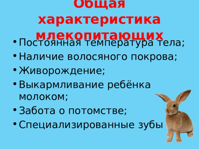 Общая характеристика млекопитающих Постоянная температура тела; Наличие волосяного покрова; Живорождение; Выкармливание ребёнка молоком; Забота о потомстве; Специализированные зубы 