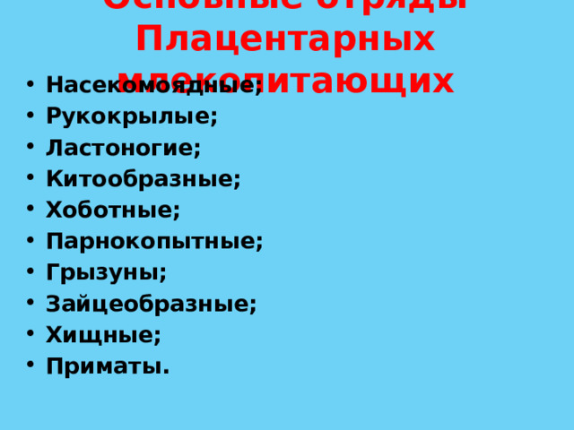 Презентация насекомоядные рукокрылые грызуны зайцеобразные хищные