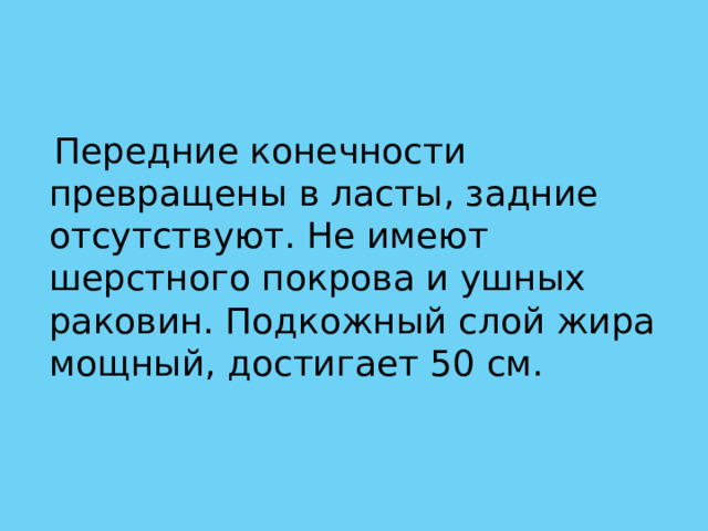   Передние конечности превращены в ласты, задние отсутствуют. Не имеют шерстного покрова и ушных раковин. Подкожный слой жира мощный, достигает 50 см. 