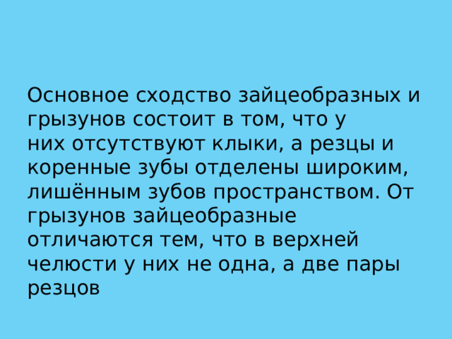 Основное сходство зайцеобразных и грызунов состоит в том, что у них отсутствуют клыки, а резцы и коренные зубы отделены широким, лишённым зубов пространством. От грызунов зайцеобразные отличаются тем, что в верхней челюсти у них не одна, а две пары резцов 