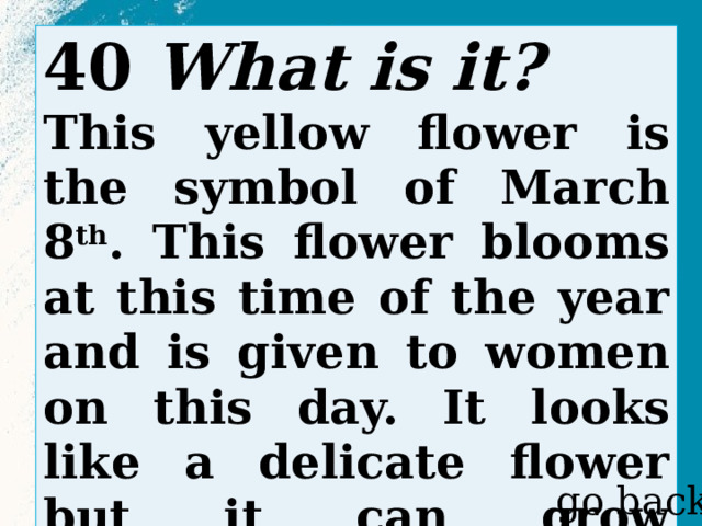 40 What is it? This yellow flower is the symbol of March 8 th . This flower blooms at this time of the year and is given to women on this day. It looks like a delicate flower but it can grow anywhere. go back 