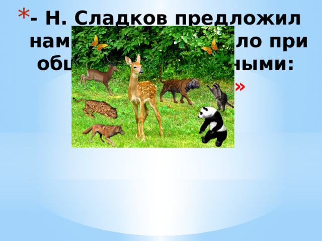 - Н. Сладков предложил нам главное правило при общении с животными:  «Не навреди!» 