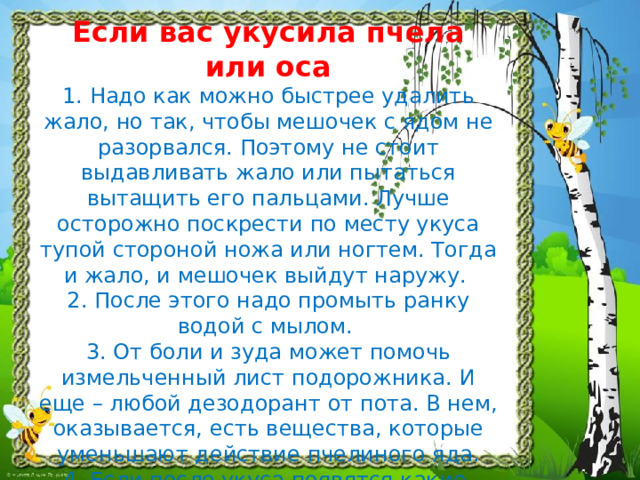 е сли вас укусила пчела или оса  1. н адо как можно быстрее удалить жало, но так, чтобы мешочек с ядом не разорвался. Поэтому не стоит выдавливать жало или пытаться вытащить его пальцами. Лучше осторожно поскрести по месту укуса тупой стороной ножа или ногтем. Тогда и жало, и мешочек выйдут наружу.  2. После этого надо промыть ранку водой с мылом.  3. От боли и зуда может помочь измельченный лист подорожника. И еще – любой дезодорант от пота. В нем, оказывается, есть вещества, которые уменьшают действие пчелиного яда.  4. Если после укуса появятся какие-нибудь признаки аллергии (большой отек, ощущение удушья, спазмы в животе, тошнота), надо, вытащив жало, срочно обратиться к врачу.   