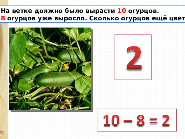 На ветке должно было вырасти 10 огурцов. 8 огурцов уже выросло. Сколько огурцов ещё цветёт? 