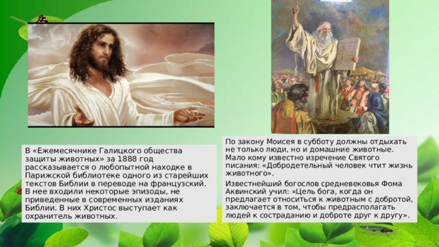 В Нагорной Проповеди Христос говорит о том, что у бога не забыта ни одна из малых птиц, ни одна полевая лилия (Мф 6:26,28-29). Каждое существо возлюблено Им и исполнено достоинства и славы. Все живое сотворено Христом и через Христа (Ин 1.1-5), и Христос пребывает с нами везде - всегда и поныне до скончания века (Мф 28.20). Любовь к природе и забота о ней - это естественная часть деятельной любви ко Христу. Не случайно во время празднования Пятидесятницы происходит благословение и освящение природы. Природа предстает перед нами источником Проповеди и вместилищем Духа. 