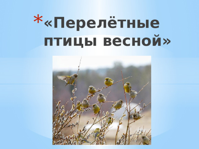 «Перелётные птицы весной» 
