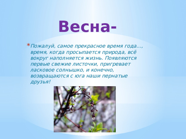 Весна- Пожалуй, самое прекрасное время года…, время, когда просыпается природа, всё вокруг наполняется жизнь. Появляются первые свежие листочки, пригревает ласковое солнышко, и конечно, возвращаются с юга наши пернатые друзья! 