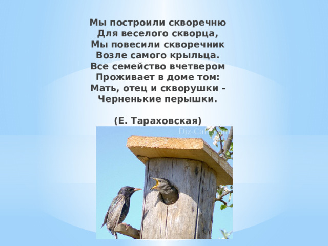 Мы построили скворечню  Для веселого скворца,  Мы повесили скворечник  Возле самого крыльца.  Все семейство вчетвером  Проживает в доме том:  Мать, отец и скворушки -  Черненькие перышки.   (Е. Тараховская) 