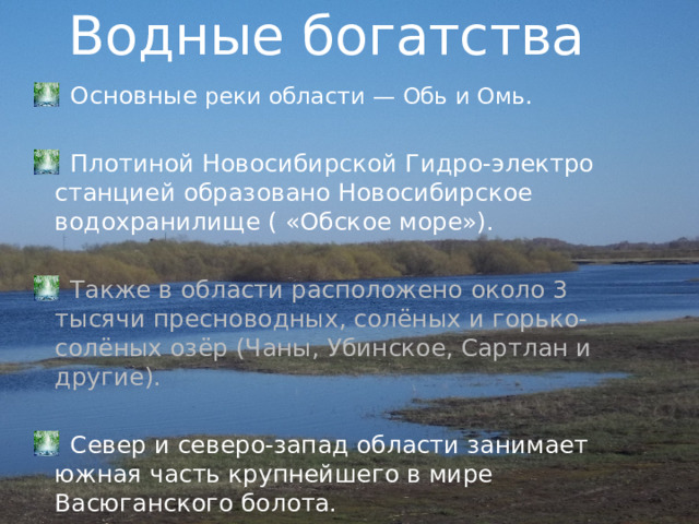 Водные богатства  Основные реки области — Обь и Омь.  Плотиной Новосибирской Гидро-электро станцией образовано Новосибирское водохранилище ( «Обское море»).  Также в области расположено около 3 тысячи пресноводных, солёных и горько-солёных озёр (Чаны, Убинское, Сартлан и другие).  Север и северо-запад области занимает южная часть крупнейшего в мире  Васюганского болота. 