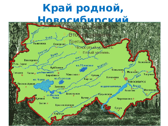 Край родной, Новосибирский 